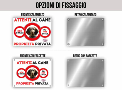 TARGA ATTENTI AL CANE - BRACCO DI BURGOS - immagine 2