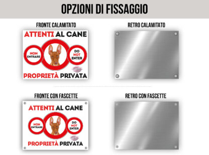 TARGA ATTENTI AL CANE - CIRNECO DELL'ETNA - immagine 2