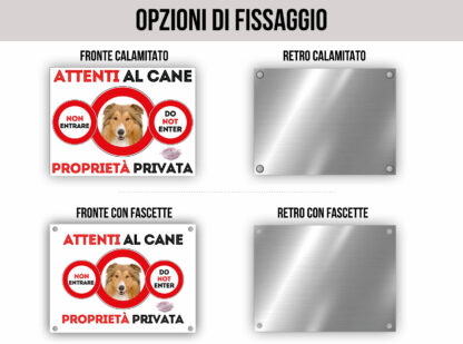TARGA ATTENTI AL CANE - PASTORE SCOZZESE - immagine 2