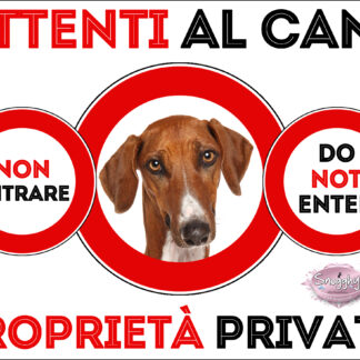 TARGA ATTENTI AL CANE - AZAWAKH