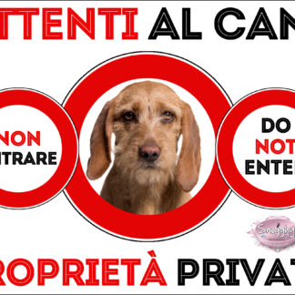 TARGA ATTENTI AL CANE - BASSET FAUVE DE BRETAGNE