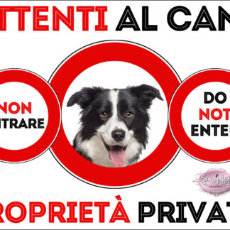 TARGA ATTENTI AL CANE - BORDER COLLIE