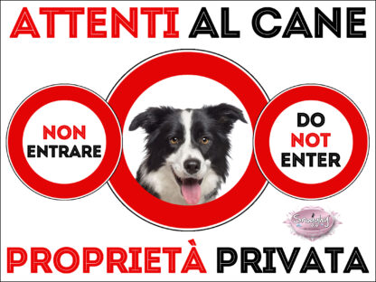TARGA ATTENTI AL CANE - BORDER COLLIE