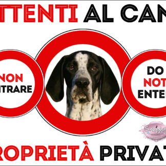 TARGA ATTENTI AL CANE - BRACCO D'AUVERGNE