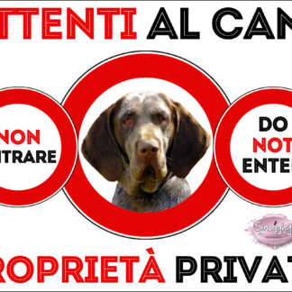 TARGA ATTENTI AL CANE - BRACCO DI BURGOS