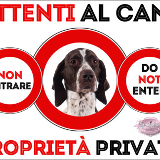 TARGA ATTENTI AL CANE - BRACCO FRANCESE PIRENEI