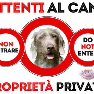 TARGA ATTENTI AL CANE - BRACCO SLOVACCO A PELO DURO