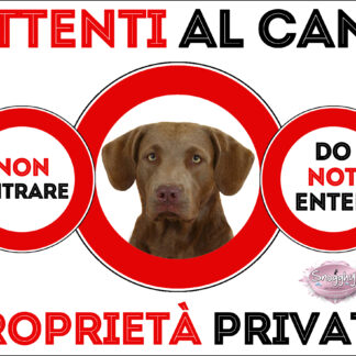 TARGA ATTENTI AL CANE - CHESAPEAKE BAY RETRIVER