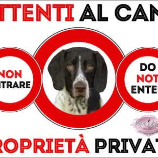 TARGA ATTENTI AL CANE - GAMMEL DANSK HONSENHUND