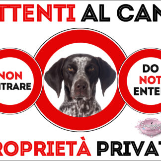 TARGA ATTENTI AL CANE - POINTER