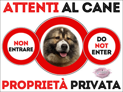 TARGA ATTENTI AL CANE - PASTORE DEL CAUCASO