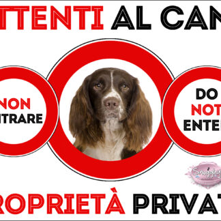 TARGA ATTENTI AL CANE - SPRING SPANIEL 2