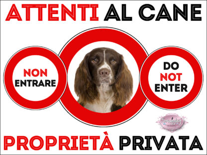 TARGA ATTENTI AL CANE - SPRING SPANIEL 2