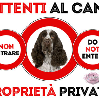 TARGA ATTENTI AL CANE - SPRING SPANIEL