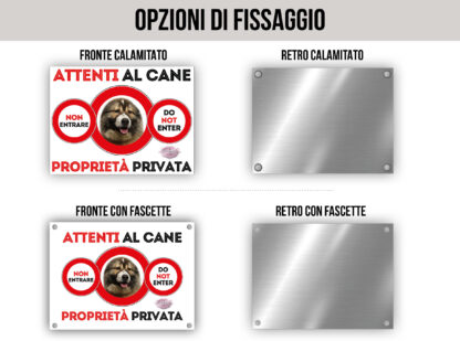 TARGA ATTENTI AL CANE - PASTORE DEL CAUCASO - immagine 2
