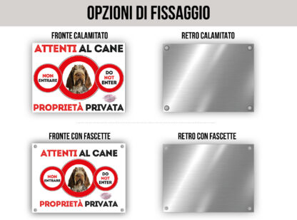 TARGA ATTENTI AL CANE - SPINONE ITALIANO - immagine 2