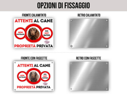 TARGA ATTENTI AL CANE - AMERICAN WATER TERRIER - immagine 3