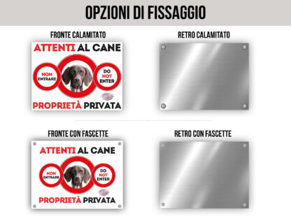 TARGA ATTENTI AL CANE - CANE DA FERMA TEDESCO A PELO CORTO - immagine 2