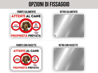 TARGA ATTENTI AL CANE - EPAGNEUL PICARD - immagine 2
