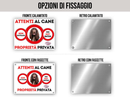 TARGA ATTENTI AL CANE - FIELD SPANIEL - immagine 2