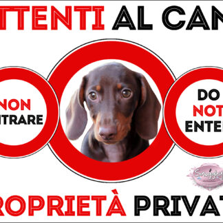 TARGA ATTENTI AL CANE - TARGA BASSOTTO FULVO