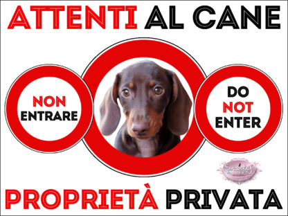 TARGA ATTENTI AL CANE - TARGA BASSOTTO FULVO