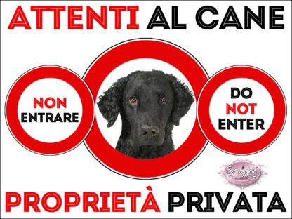 TARGA ATTENTI AL CANE - CURLY COATED RETRIEVER