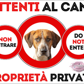 TARGA ATTENTI AL CANE - FOXHOUND
