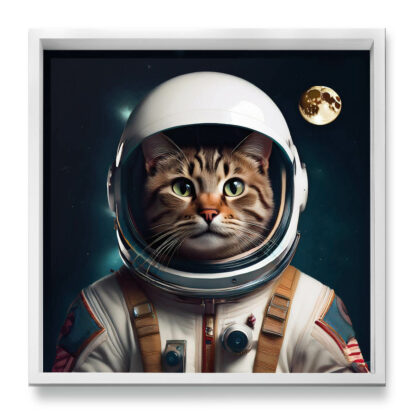 Astronauta - immagine 17