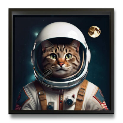 Astronauta - immagine 16