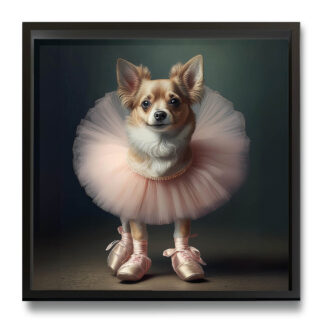 Cane Ballerina